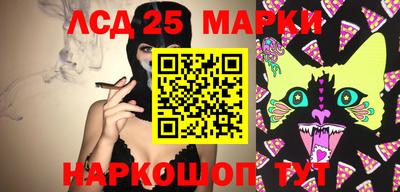 spice Краснознаменск