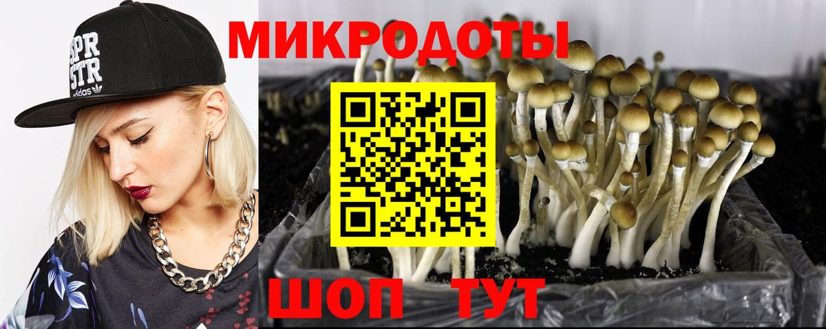 Псилоцибиновые грибы MAGIC MUSHROOMS  наркошоп  Чехов  Вход с VPN 